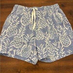 Chubbies Swim Trunks Men’s Small 5.5” Inseam Mesh Blue Pineapple Bathing Suit